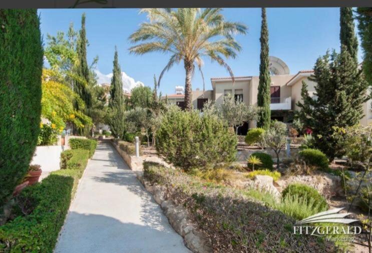 Owls Nest Townhouse Villa Paphos Exteriör bild